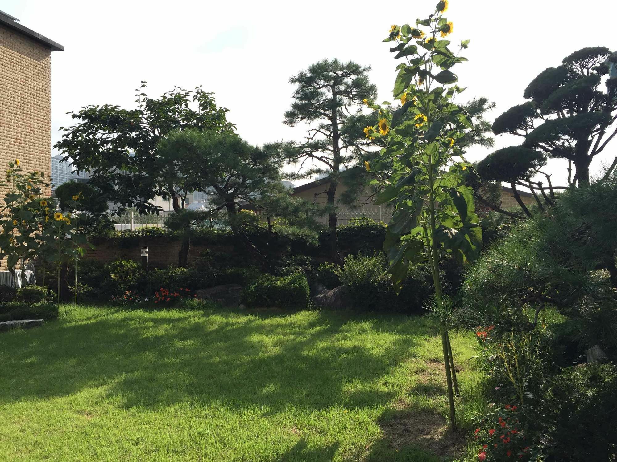 Puzzlestay House Seoul Bagian luar foto